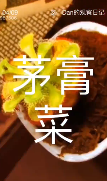 Wowkids 学员课堂影像 7